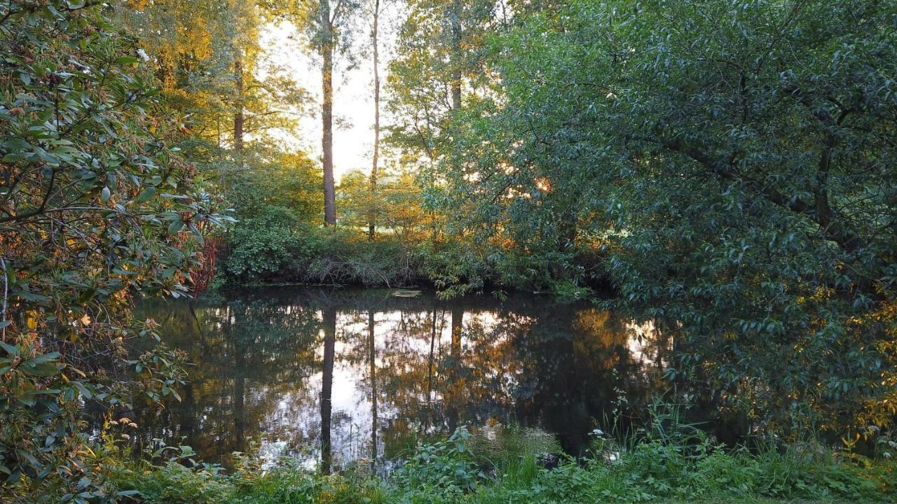 Fewo Lueneburger Heide - Aurelia Leilighet Bad Bevensen Eksteriør bilde